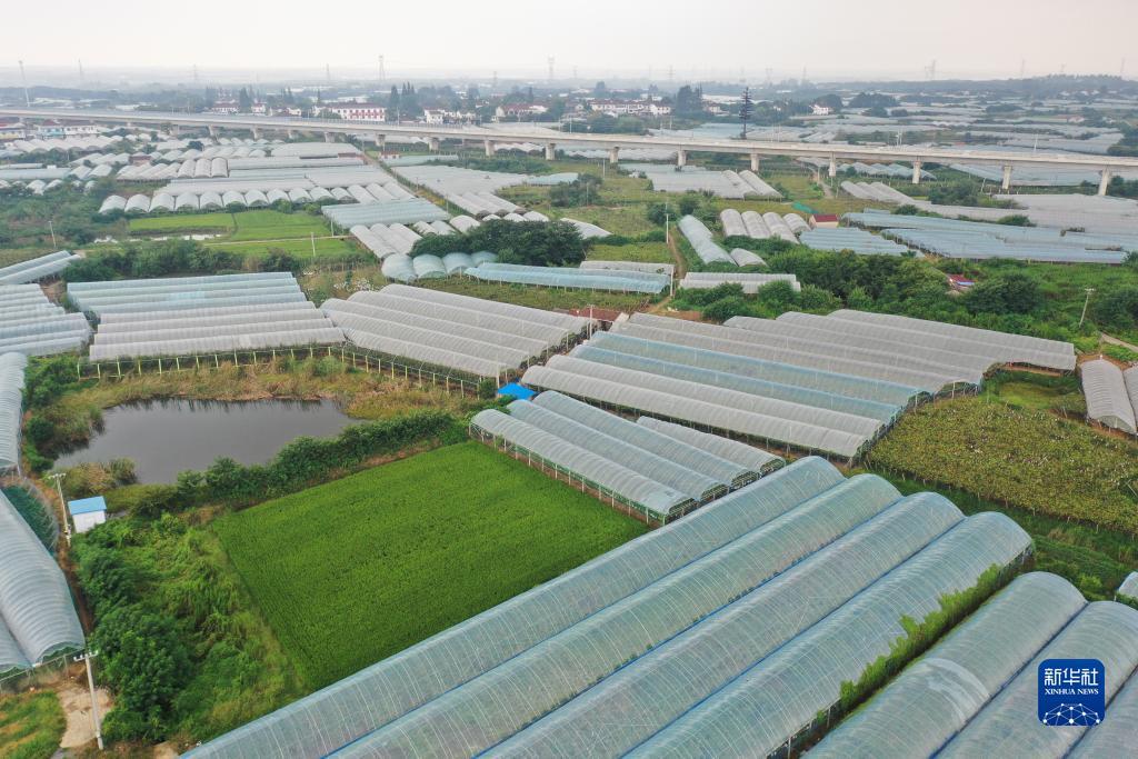 一元提现